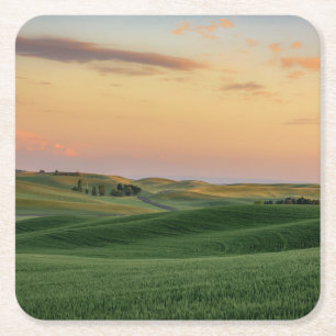Sunset over Wheat Fields Staat Washington Vierkante Kartonnen Onderzetter