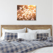 Sunset Oxeye Daisies Canvas Afdruk (Insitu (Slaapkamer))