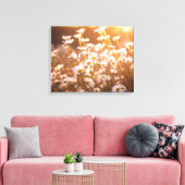 Sunset Oxeye Daisies Canvas Afdruk (Insitu (Woonkamer))