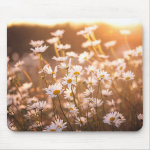 Sunset Oxeye Daisies Muismat