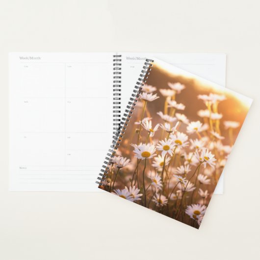 Sunset Oxeye Daisies Planner (Display)