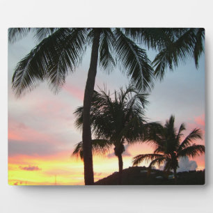Sunset Palms Tropical Landscape Photography Fotoplaat