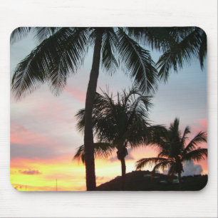 Sunset Palms Tropical Landscape Photography Muismat