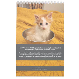 Sunset Park Cats | 2026 Agenda | Kittens Kalender
