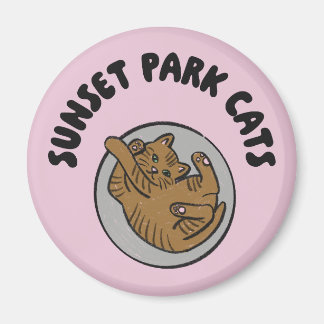 Sunset Park Cats | Magneet | Bobbin Rescue Kitten