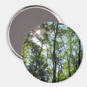Sunset Peking through the Trees Photo Magnet Magneet (Voorkant / Achterkant)