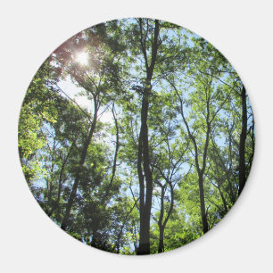 Sunset Peking through the Trees Photo Magnet Magneet