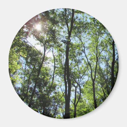 Sunset Peking through the Trees Photo Magnet Magneet (Voorkant)