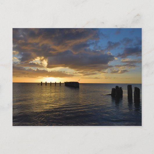 Sunset Pier Gasparilla Island, Floride - Carte pos (Devant)