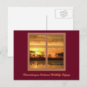 Sunset Post Card Chincoteague Briefkaart (Voorkant / Achterkant)