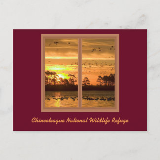 Sunset Post Card Chincoteague Briefkaart