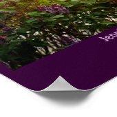 Sunset Poster (Hoek)