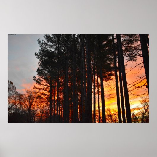 Sunset Poster (Voorkant)