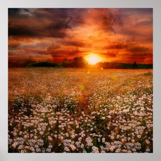 Sunset Poster (Voorkant)