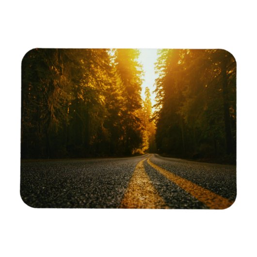Sunset Road Magneet (Horizontaal)
