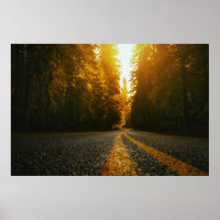 Sunset Road