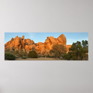 Sunset Rocks bij Joshua Tree Poster