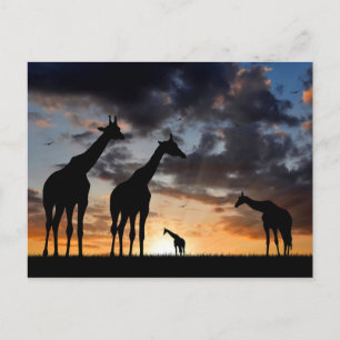 sunset safari wild wild dier giraffe silhouet briefkaart