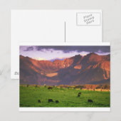 Sunset San Juan Mts CO Briefkaart (Voorkant / Achterkant)