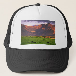 Sunset San Juan Mts CO Trucker Pet