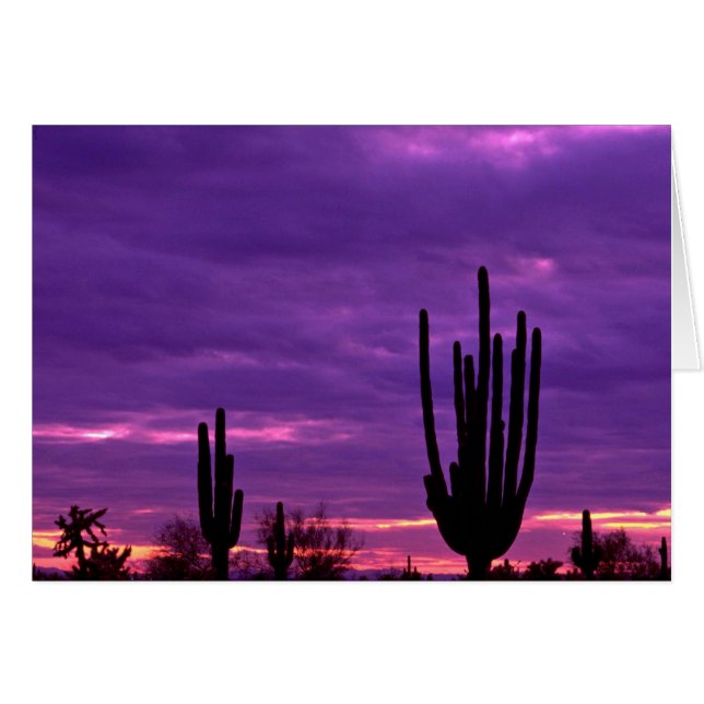 Sunset, Scottsdale, Arizona (Voorkant Horizontaal)