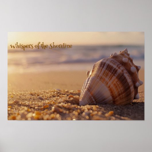 Sunset Serenity: Seashell aan de kust Poster (Voorkant)