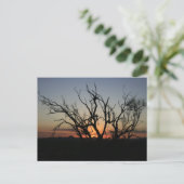 Sunset Silhouette Briefkaart (Staand voorkant)