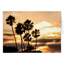 Sunset Silhouette in San Diego