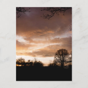 Sunset Silhouettes-bomen Briefkaart
