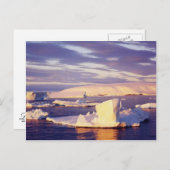 Sunset Sound, carte postale (Devant / Derrière)