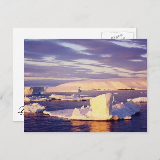 Sunset Sound, carte postale (Devant / Derrière)