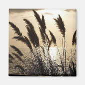 Sunset Square Magnet Magneet (Voorkant)