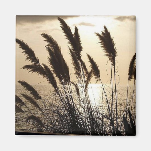 Sunset Square Magnet Magneet (Voorkant)