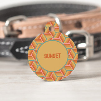 Sunset Stripes Geometrische Retro 3D Box Illusie Huisdierpenning