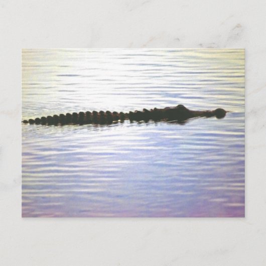 SUNSET SWIM BRIEFKAART (Voorkant)