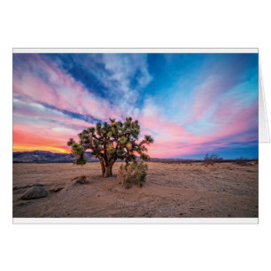 Sunset te Mojave