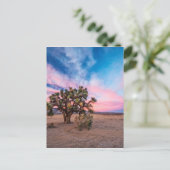Sunset te Mojave Briefkaart (Staand voorkant)