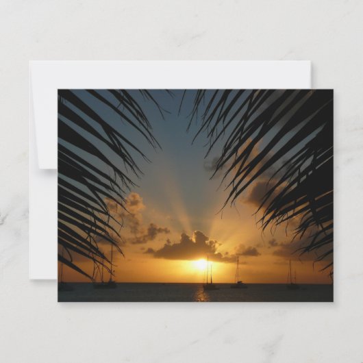 Sunset Through Palm Fronds Tropical Seascape (Voorkant)