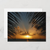 Sunset Through Palm Fronds Tropical Seascape (Voorkant / Achterkant)