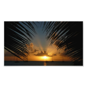 Sunset Through Palm Fronds Tropical Seascape Foto Afdruk