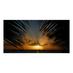 Sunset Through Palm Fronds Tropical Seascape Perfect Poster