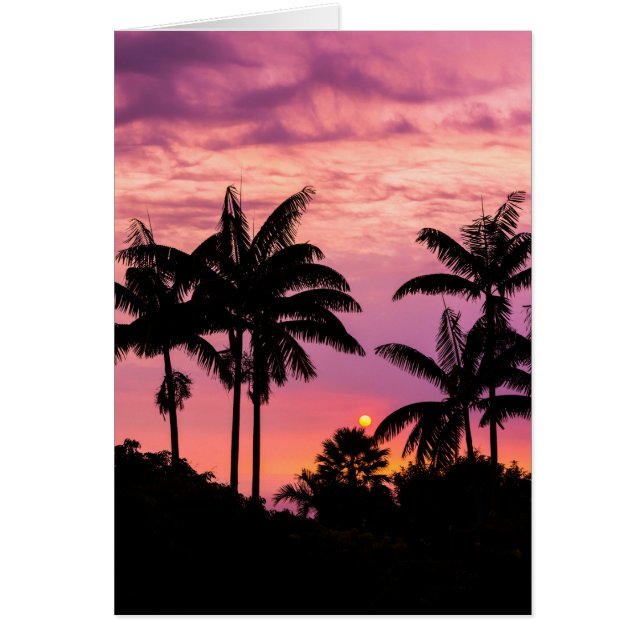 Sunset through Palm Trees (Voorkant)