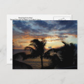 Sunset through the Palms Briefkaart (Voorkant / Achterkant)