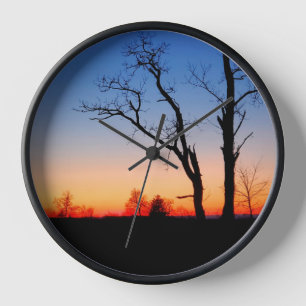 Sunset Through the Trees