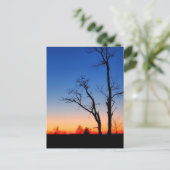 Sunset Through the Trees Briefkaart (Staand voorkant)