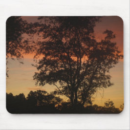 Sunset Through the Trees Muismat