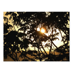 Sunset Through Trees I Tropical Photography Foto Afdruk