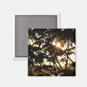Sunset Through Trees I Tropical Photography Magneet (Voorkant / Achterkant)