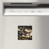 Sunset Through Trees I Tropical Photography Magneet (Insitu (Vaatwasser))