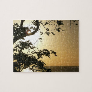 Sunset Through Trees II Tropische fotografie Legpuzzel